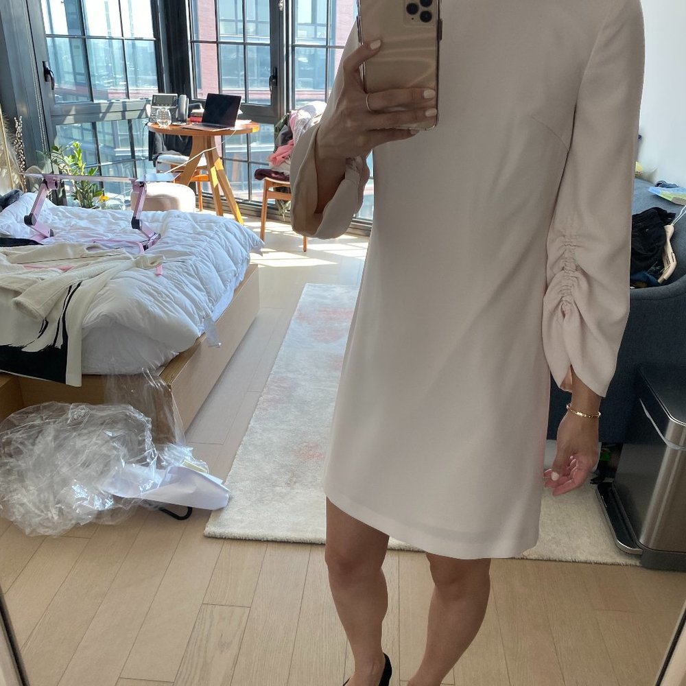 Club Monaco Blush Pink Dress Long Sleeve